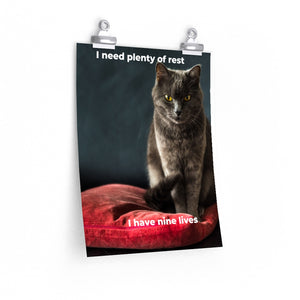 Cat's Premium Matte vertical posters