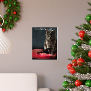 Cat's Premium Matte vertical posters