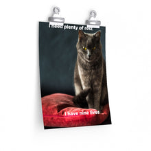 Load image into Gallery viewer, Cat&#39;s Premium Matte vertical posters
