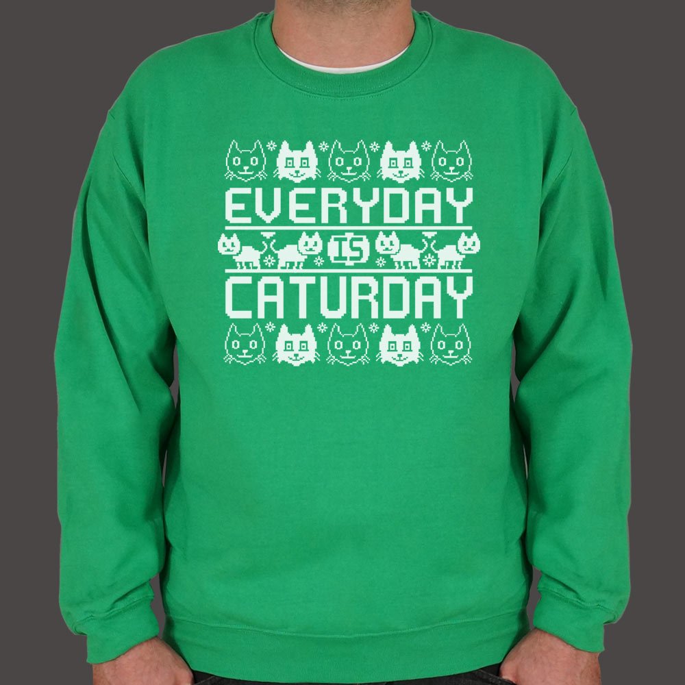 Every Day Is Caturday Sweater (Mens)