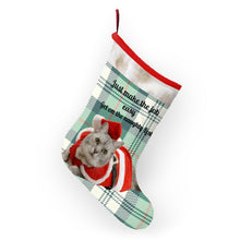 Load image into Gallery viewer, Christmas Stockings Cat
